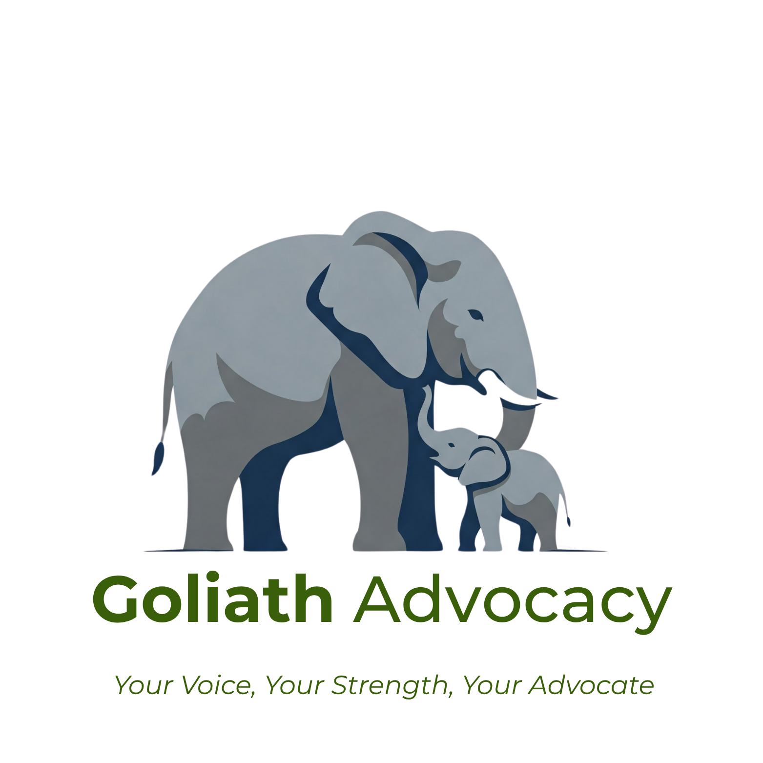 Goliath Advocacy